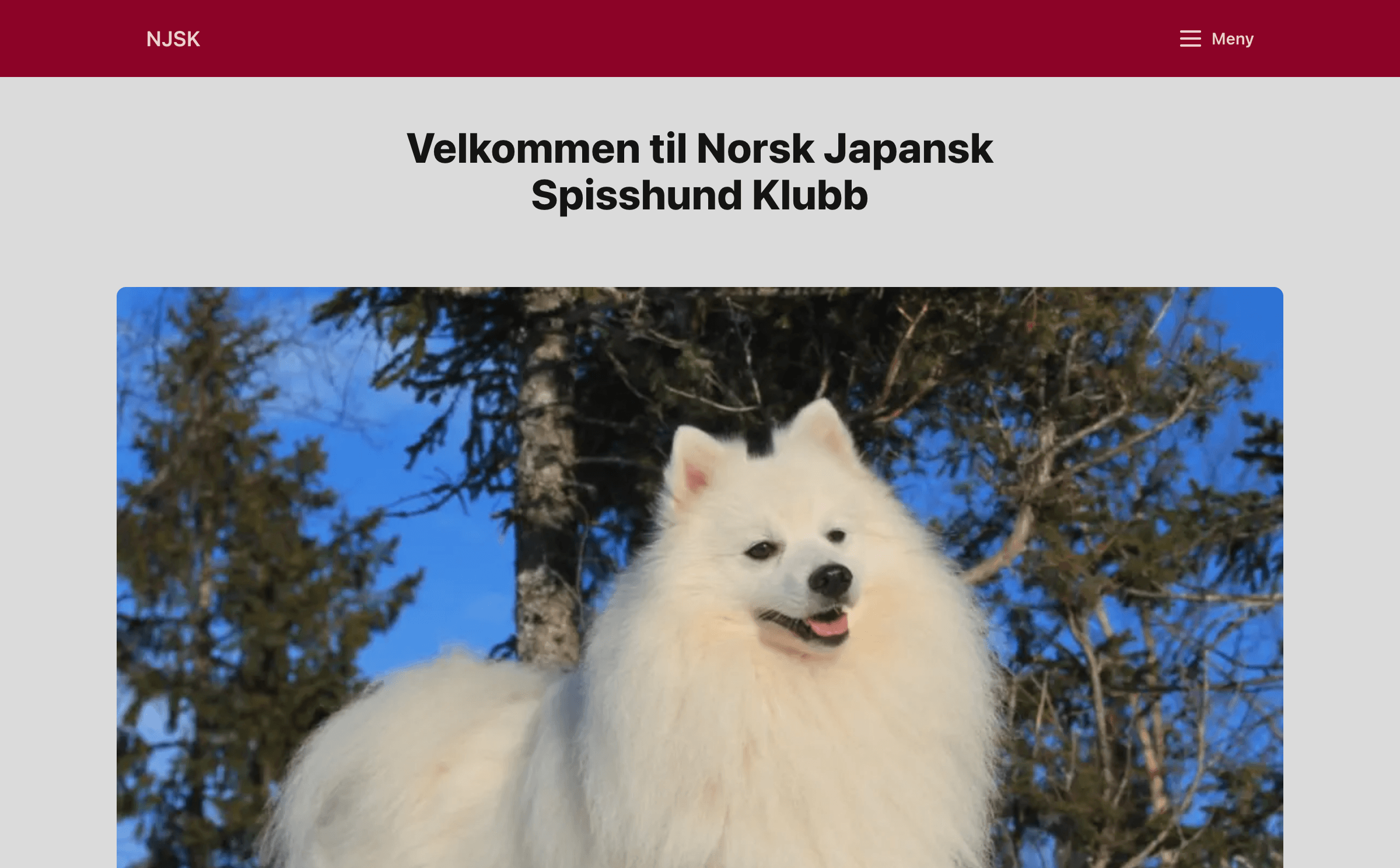 Screenshot of japanskspisshund.medweb.no